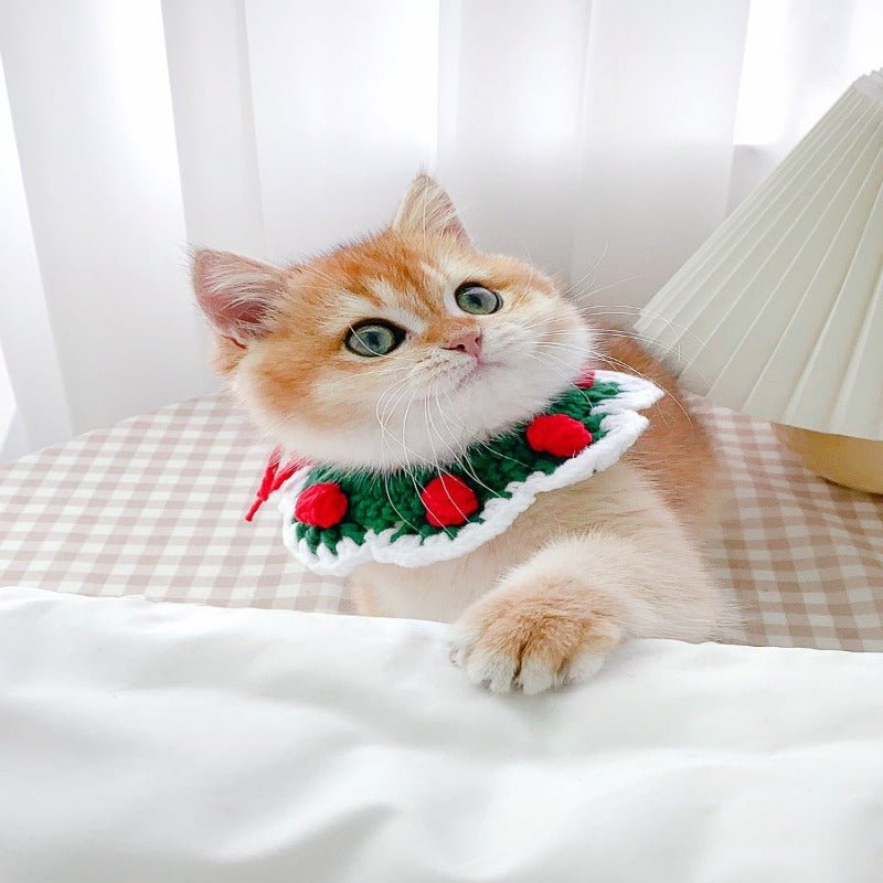 Hand-Woven Kitty Collar - Loli The Cat