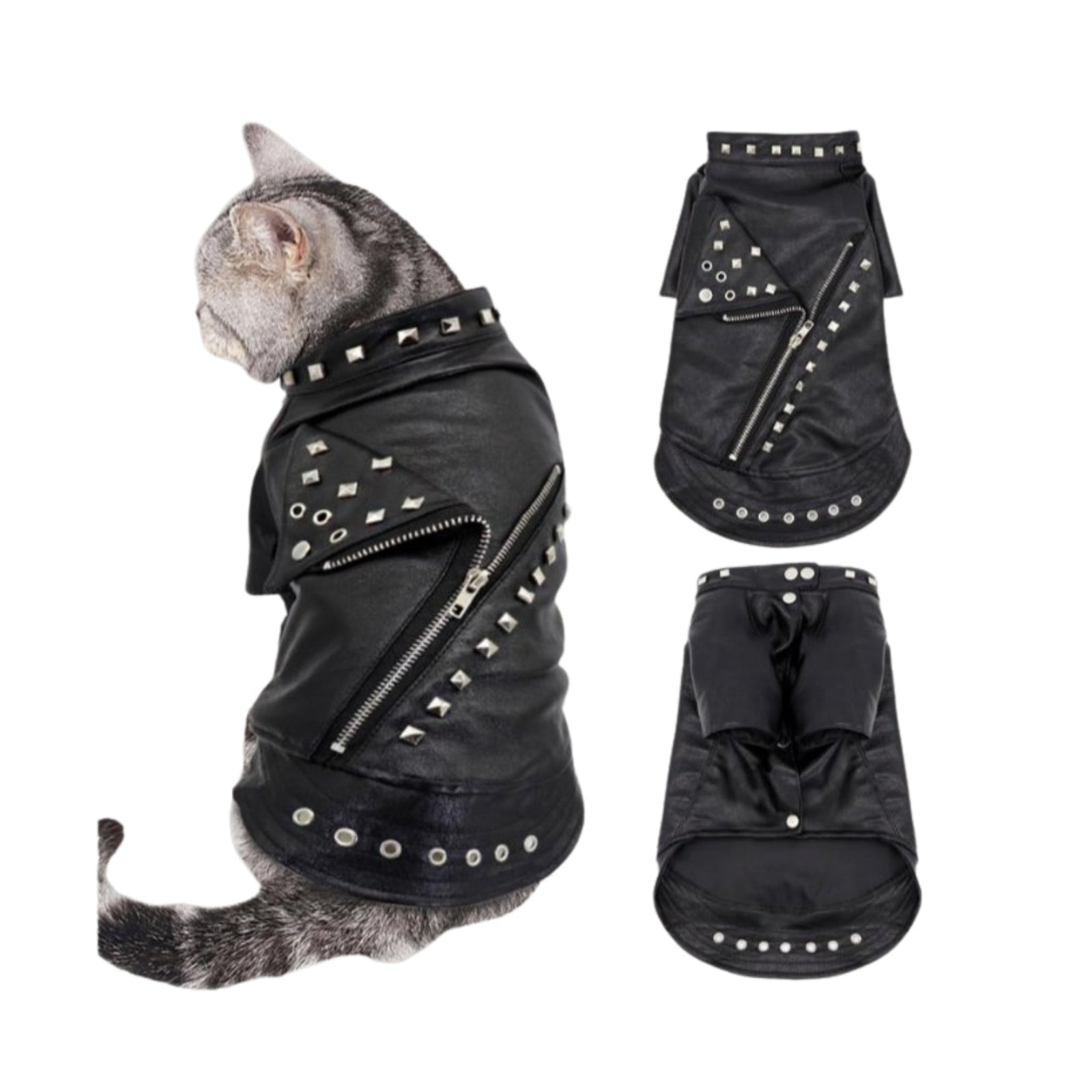 Leather Cat Jacket - Loli The Cat