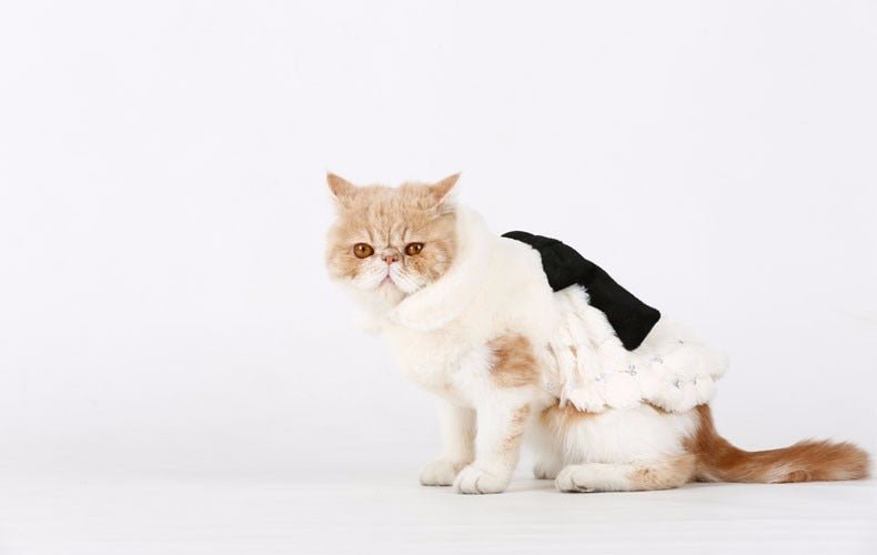 Pet Elegant Fur Winter Overcoat - Loli The Cat