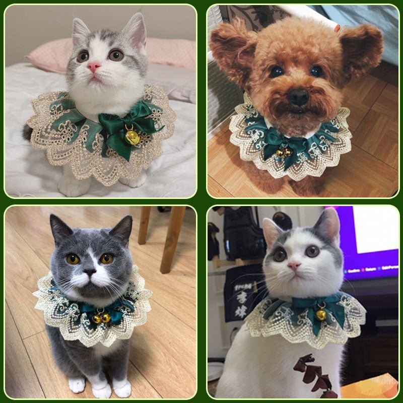 Pet jewelry Cat Dog Collar - Loli The Cat