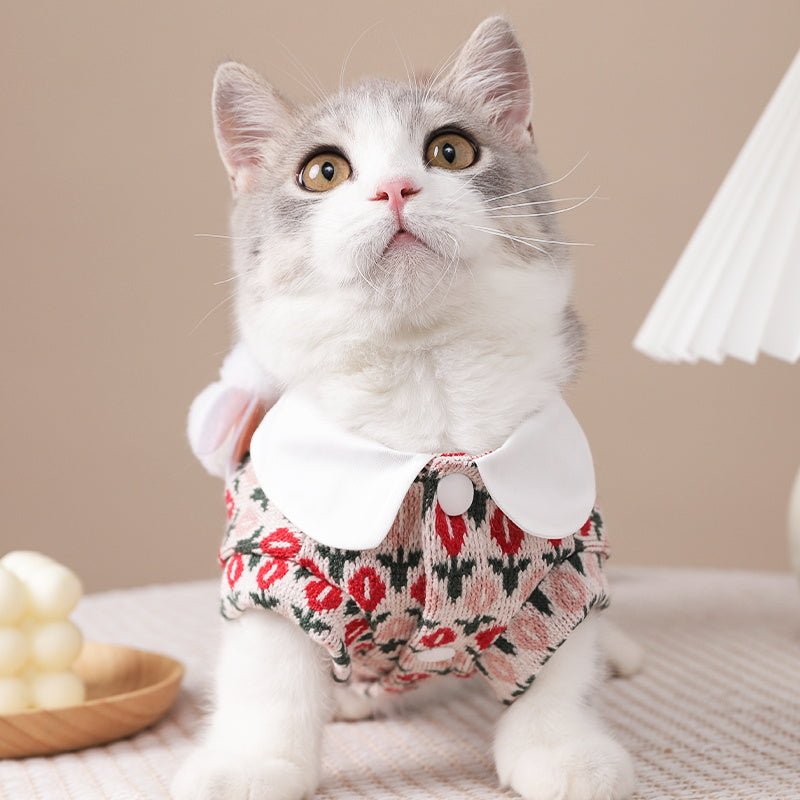Puppet Cat Sweater - Loli The Cat