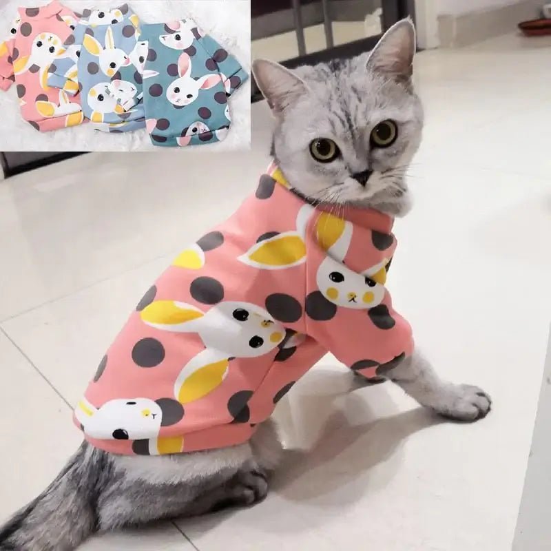 Sweet Clothes Cat Winter - Loli The Cat